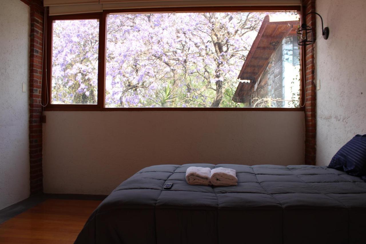 Casa Frida Coyoacan México DF Exterior foto